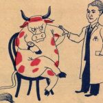 A türelmetlen tehén, Ludas Matyi karikatura 1951