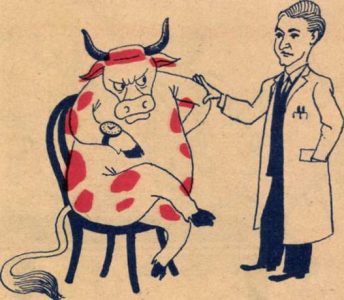A türelmetlen tehén, Ludas Matyi karikatura 1951