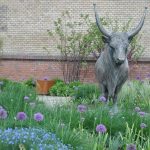 Domokos Béla: Csatlós, magyar szürke bika szobra az egyetem kertjében
